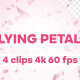 Flying Petals Spring Footage 4 clips - VideoHive Item for Sale