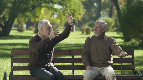 Old Man Emotionally Telling Unbelievable Story to Friend, Leisure Time in Park