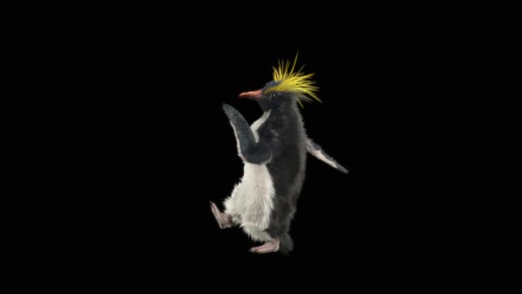 Penguin Dancing HD