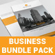 Business Bundle Pack V1 - GraphicRiver Item for Sale