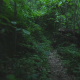 Running Away on Hiking Trail - VideoHive Item for Sale