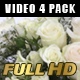 Flower-4 Pack - VideoHive Item for Sale