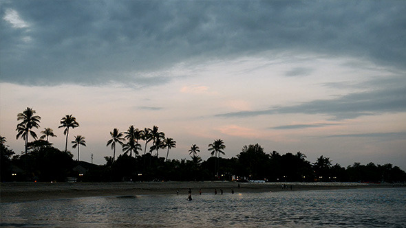 Tropical Palm Beach after Sunset