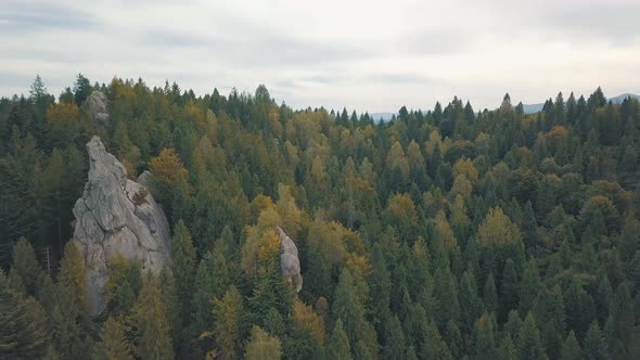 Impressive Drone Shot of the Mountain Hills in Forest. Autumn. Aerial View