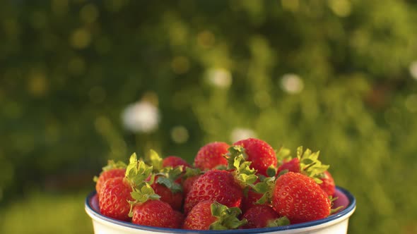 Fresh ripe strawberry in a bowl