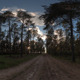 Meadow Afternoon HDR 03 - 3DOcean Item for Sale