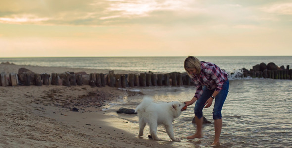 Girl Having fun With Dog