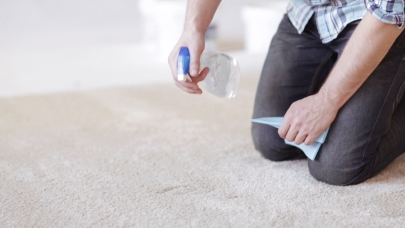 Man With Rag And Stain Remover Cleaning Carpet