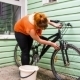 Young Girl Washing The Bicycle Wheels - VideoHive Item for Sale