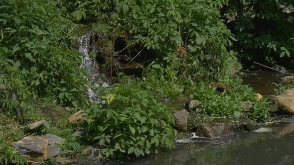 Waterfall in The Park, River Bank