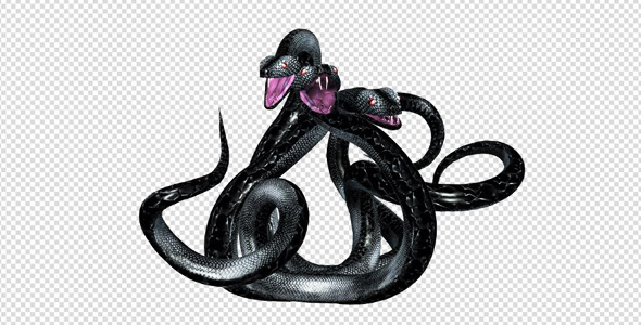 Serpent Tangle - Three Black Snakes