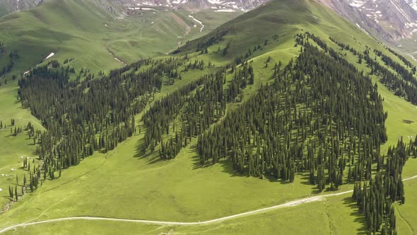 Nalati grassland and mountains in a fine day