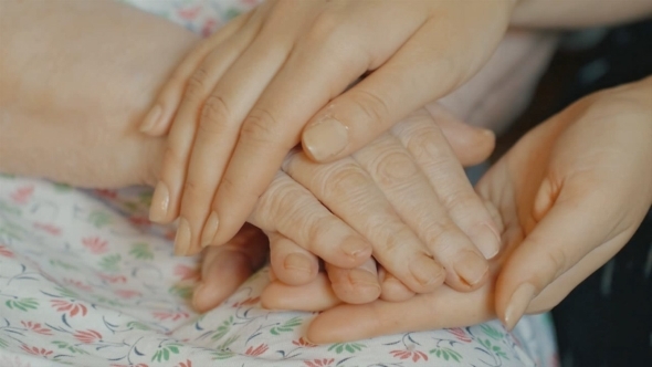 Old And Young Hands