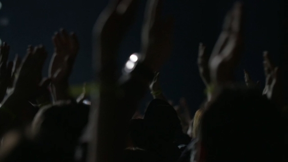 Excited Audience On Musical Festival alt