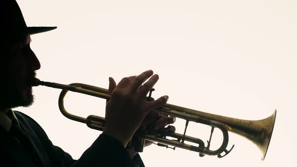 Bearded Musician Jazzman in Hat Plays Musical Trumpet in Studio on White Background Side View Double