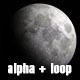 The Moon - VideoHive Item for Sale