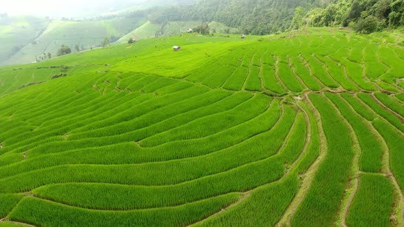 Rice field terrace on mountain agriculture land.