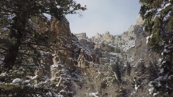 Flying through pine trees up towards snow covered cliffs