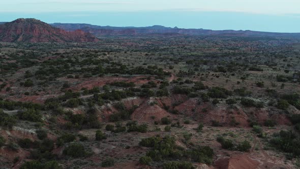 Bison herd in an epic canyon landscape in the evening