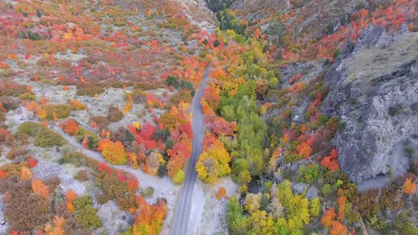 View of canyon in Fall flying backwards over road winding through forest