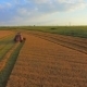 Aerial View, The Harvesting Machine Mows Wheat - VideoHive Item for Sale