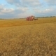 Aerial View, Combine On Harvest Field In Ukraine - VideoHive Item for Sale