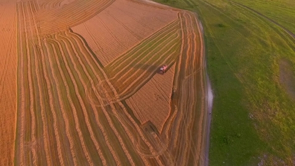 Agricultural Land With Harvester