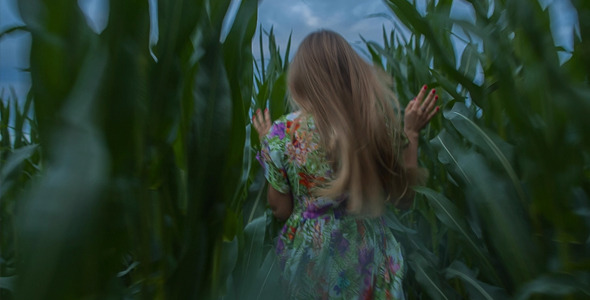 Girl Runs Through a Field of Corn