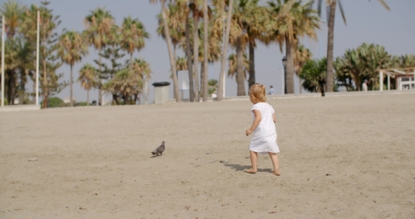 Little Girl Chasing a Seagull