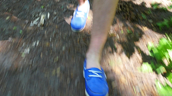 Walking Legs In Forest