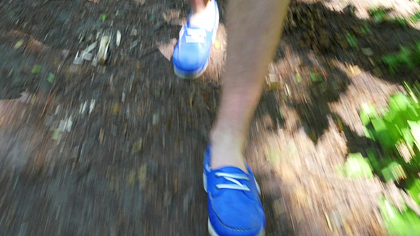 Walking Legs In Forest alt