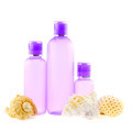 skeleton shell - PhotoDune Item for Sale