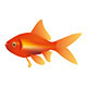 Goldfish - GraphicRiver Item for Sale