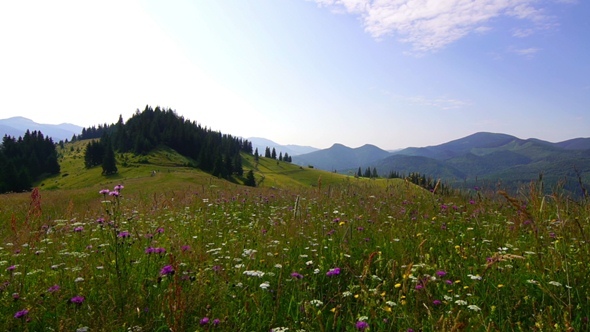 Mountain Landscape