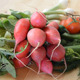 Radish Fresh From The Fields - VideoHive Item for Sale
