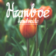 HAMBOE - GraphicRiver Item for Sale