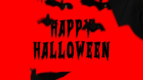 Bats Transition 05 alt