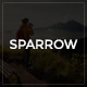 Sparrow - Responsive Travel Online Booking Template - ThemeForest Item for Sale