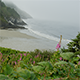 Oregon Coast Wildflowers - VideoHive Item for Sale