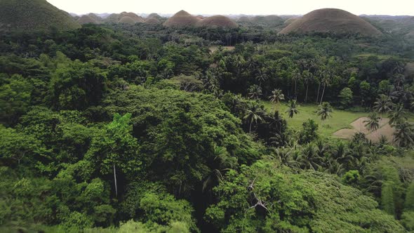 Chocolate Hills Foggy Peaks Aerial Shot