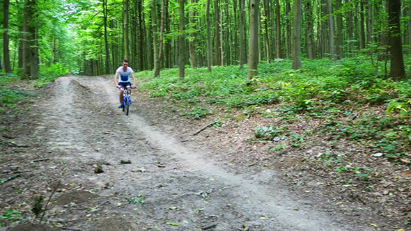 Boy Biking On Forest Trails