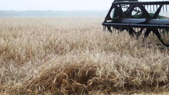 Wheat Harvesting Combain alt