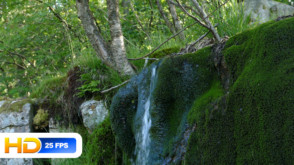 Small Waterfall and Moss Covered Rock