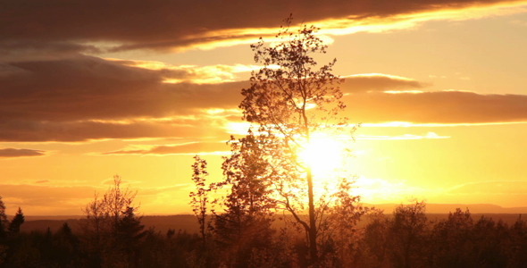 Evening Sky