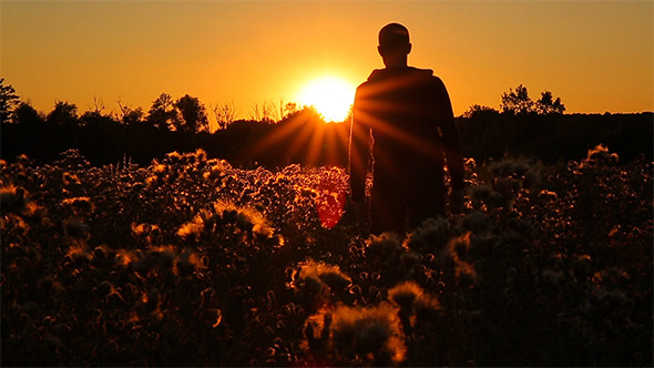 Walk at Sunset