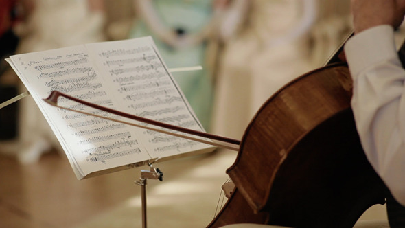 Musician Play The Cello