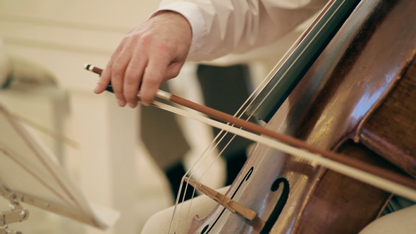 Musician Play The Cello