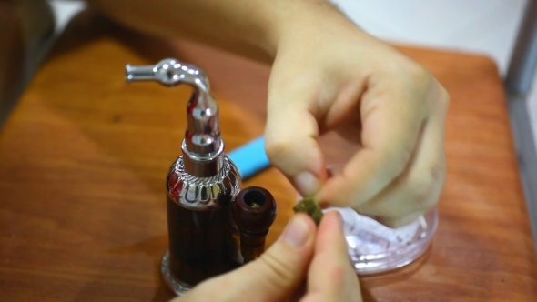 Laying Of Marijuana In a Hookah Smoking. 