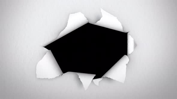 Torn Paper Hole - 01 White alt