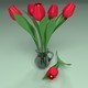 Tulips in a glass jar - 3DOcean Item for Sale